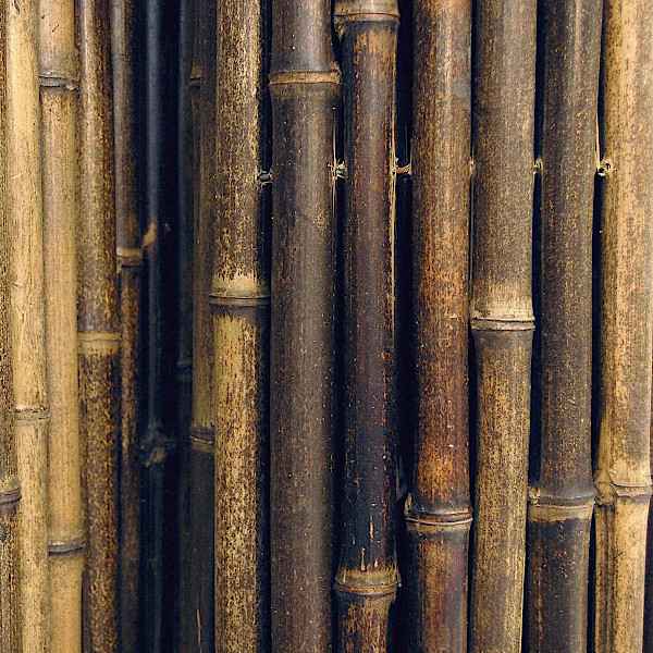 Black Bamboo Roll Fence